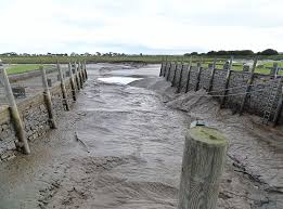 Image result for Wigtown Bowling Club