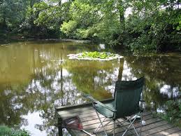 Image result for Bathampton Angling Association