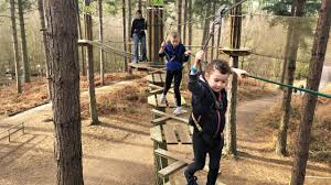 Image result for The Go Ape Experience (Delamere Forest)