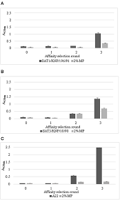 Image result for selvatici tehron