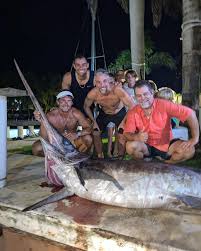 Image result for Xiphias gladius