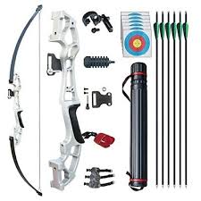 Image result for Silver Arrow Archery