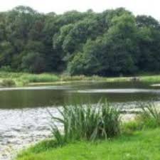 Image result for Bargoed Sea Anglers
