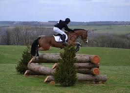 Image result for Jp-Sheffield Eventing