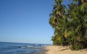 Image result for cahuita costa rica
