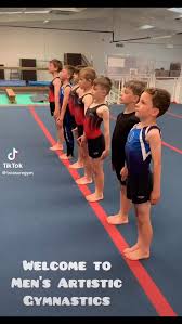 Image result for Treasure Gymnastics