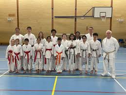 Image result for Soncho Karate Club
