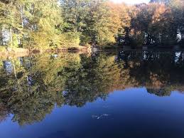 Image result for Bexleyheath and District Sea Angling Society