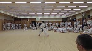Image result for enpi dojo