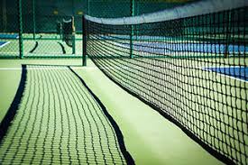 Image result for Dorset Pickleball Club