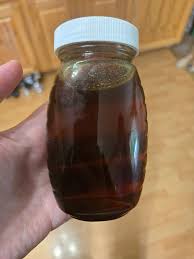 Attēlu rezultāti vaicājumam “Diphyus latebricola”