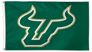 Image result for Kirkcaldy Bulls Flag football Club