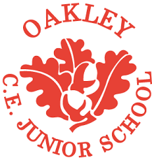 Image result for Ockley Acorns Junior F C