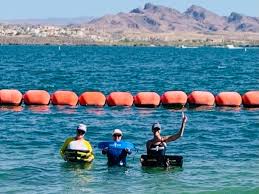 Image result for Aquatone Classes