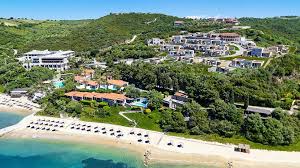 Image result for Palace Eagles Octopush Club