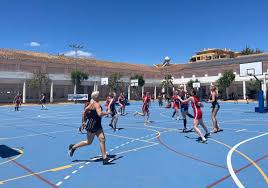 Image result for Fetcham Netball Club