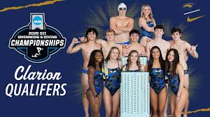 Image result for 243 Diving Club