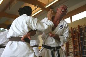 Image result for Burnley Wado Ryu Karate Club