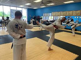 Image result for Alness Tang Soo Do