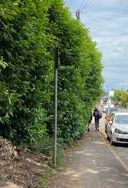 Image result for Woodmancote SMBC