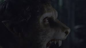 Image result for werehuman фото