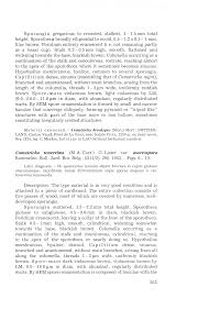 Attēlu rezultāti vaicājumam “Comatricha pulchella stalked”