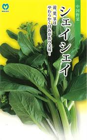 「シェイ・シェイ」の画像検索結果