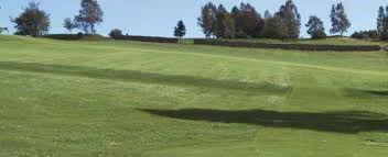 Image result for Bridge Of Allan Sports Club