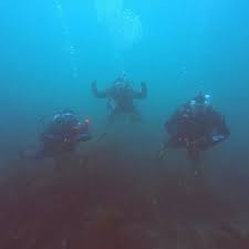 Image result for Southampton University Sub-Aqua Club