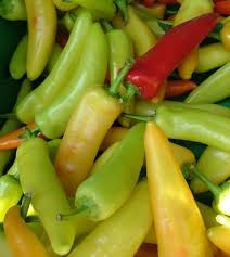 Afbeeldingsresultaat voor topepo giallo sweet pepper