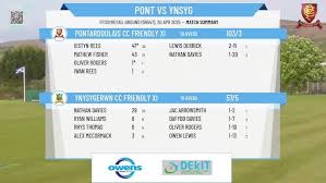 Image result for Ynysygerwn Cricket Club