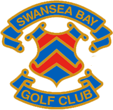 Image result for Swansea Bay Hockey Club