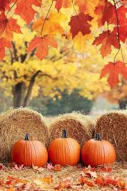 Bildergebnis für Fall…