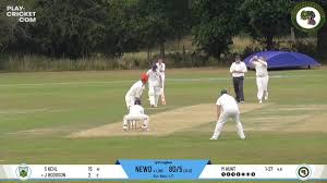 Image result for Lingfield Cricket Club