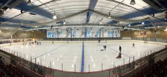 Image result for Streatham Youth Ice Hockey Club
