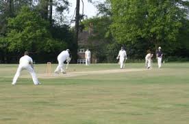 Image result for Aldwick Cricket Club