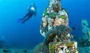 Image result for Chiltern Divers