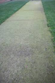 Image result for Penistone Cricket & Sports Club