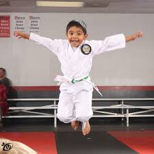 Image result for Vision Martial Arts