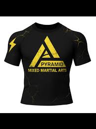 Image result for Pyramid martial arts