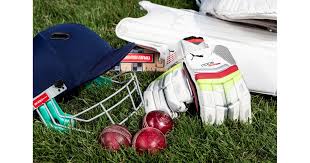 Image result for Ewhurst Cricket Club