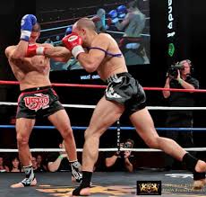 Image result for Vipers Thai/Kickboxing School