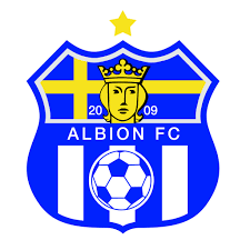 Image result for Staines Albion Fc