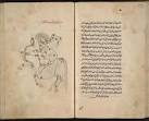 Heavens (World Treasures of the Library of Congress: Beginnings)