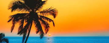 Image result for patnem beach