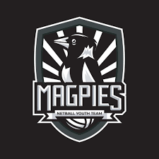 Image result for Ledbury Magpies Netball Club