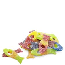 Image result for vissen