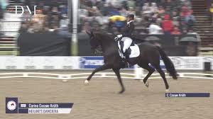 Image result for Interfreestyle Sport Karate