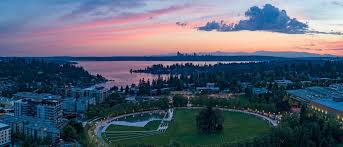 Image result for Bellevue