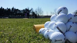 Image result for Leyland Golf Club